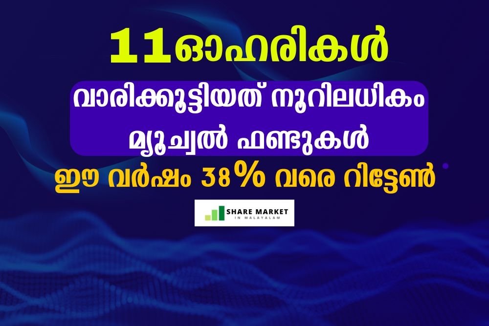 11 ഓഹരികൾ; വാരിക്കൂട്ടിയത് നൂറിലധികം മ്യൂച്വൽ ഫണ്ടുകൾ, ഈ വർഷം 38% വരെ റിട്ടേൺ​